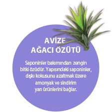 AVİZE AĞACI ÖZÜTÜ. Saponinler bakımından zengin bitki özüdür. Yapısındaki saponinler, dışkı kokusunu azaltmak üzere amonyak ve sindirim yan ürünlerini bağlar.