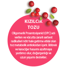 KIZILCIK TOZU. Oligomerik Proantosiyanid (OPC) adı verilen ve vücutta zararlı serbest radikalleri nötr hale getirme etkisi olan toz metabolik antioksidan içerir. Böbrek ve karaciğer hasarını azaltmaya yardımcı olur, doğurganlığı ve uzun yaşamı destekler.