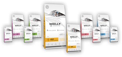 molly cat food