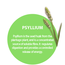 PSYLLIUM. Psyllium is the seed husk from the plantago plant, and is a concentrated source of soluble fibre. It regulates digestion and provides a controlled release of energy.