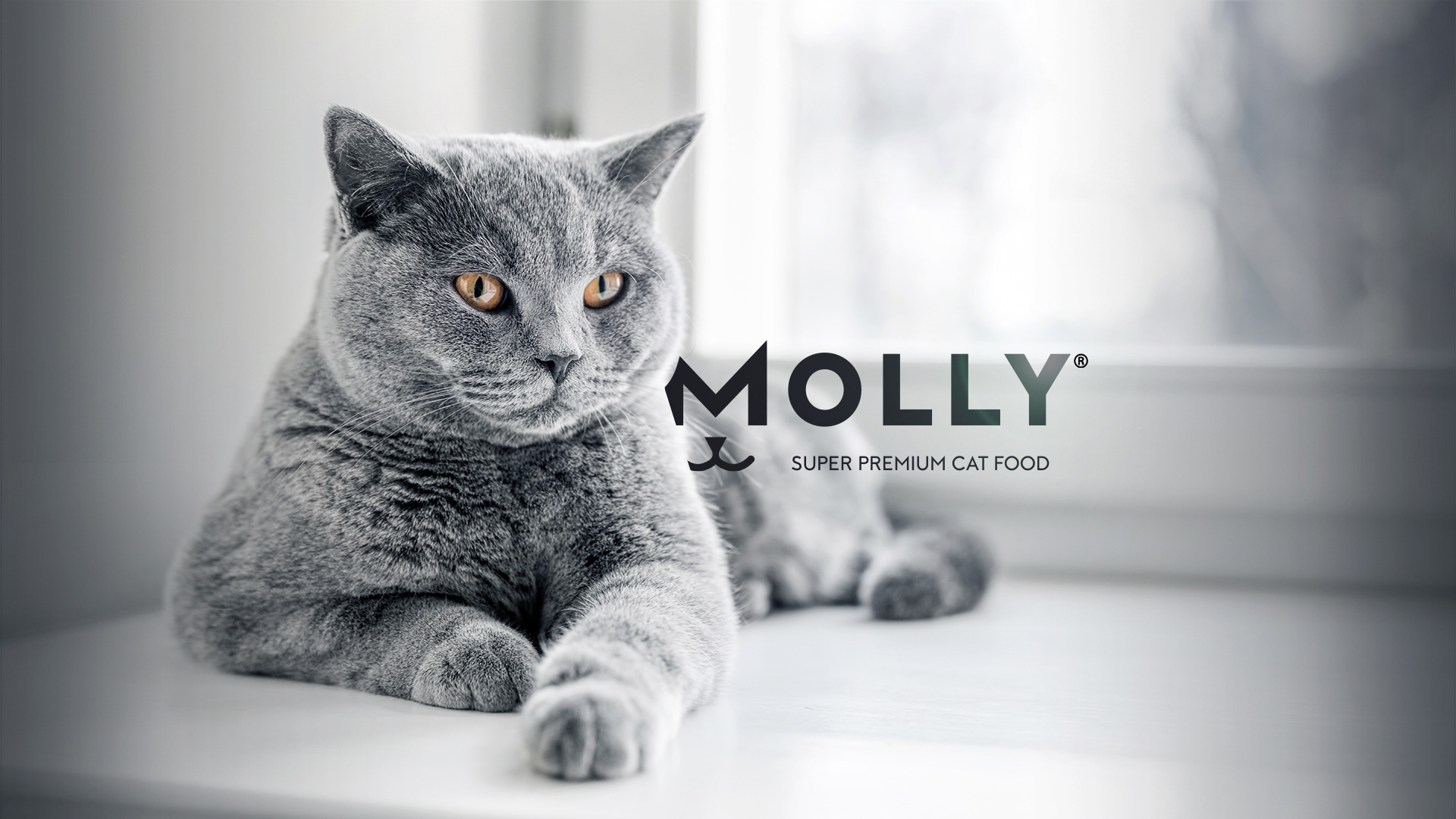 molly