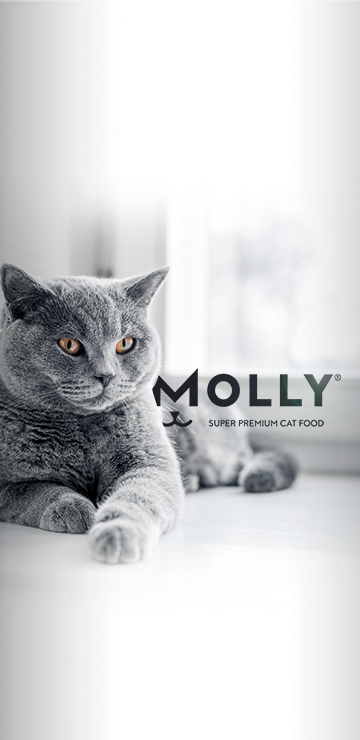 molly