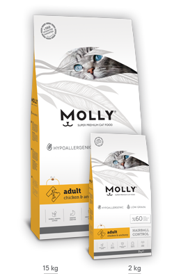 Molly cat food